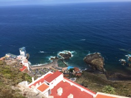 Paseando por los montes de Tenerife  logo
