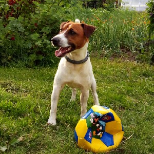 Экватор Марса