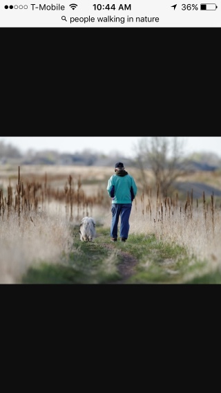 Just A Walk Per Day logo