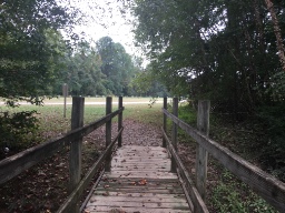 Female beginner Walkers and Runners logo