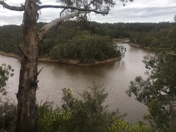 🦘Mono1946 🇦🇺 post 3