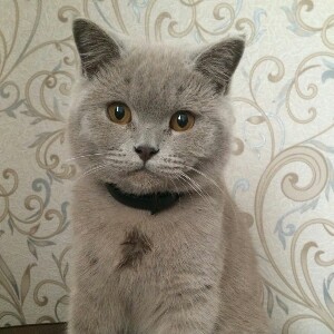 Юрчик🏃‍♂️💨