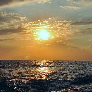 Aleksey (KRASNODAR)🇷🇺