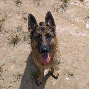 Vika Krupenkina 🇧🇾