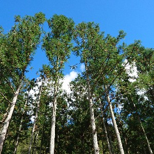 Arthur@Taiwan🇹🇼