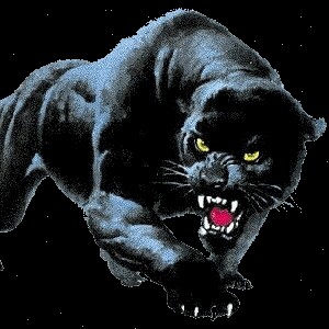 Pantera1819💛🏃 💙 💯 🍎💯💯🍎 profile