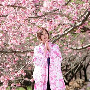 SAKURA♪ profile