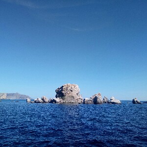 Денис 🇷🇺 174