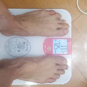 잃어버린복근을찾아서