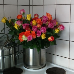 Jobe wandert gern. profile