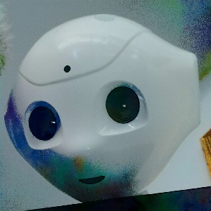 💥    D u c c i o   💥 profile