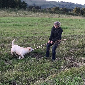 Belka_tanya👣step by step👣