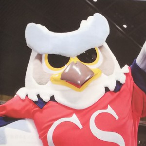 コンサ歩 profile