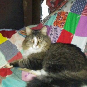 Figaro