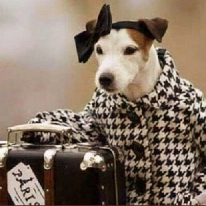 Оксана🍀🍀🍀