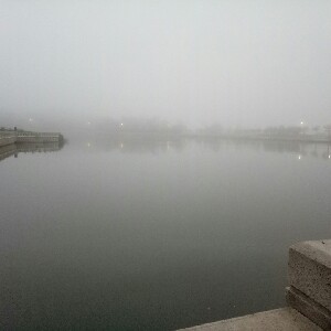 飄風驟雨 profile