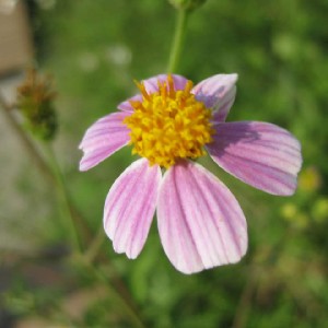 孟翰 😉🍀☕☕🤗