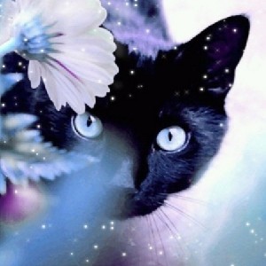 Svetik-msk💎VL🤺🌺🍀