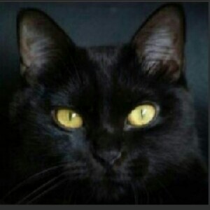 HAPPY  CHRISTMAS❤👈