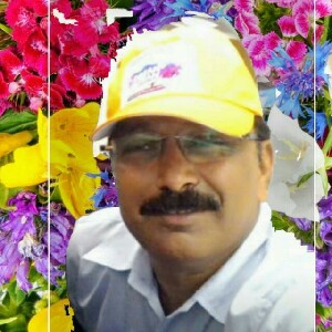 Ashish Nayak profile