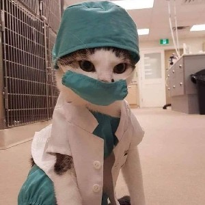 Александр  \"Step by step\" 👣