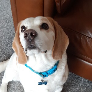 Charlie