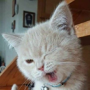 noor_aidil_abdul_rahman profile