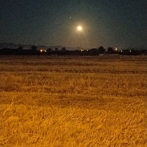 BrikPaolo08🍀🍀🍀