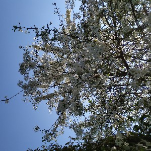 Valérie💛💙 🇺🇦 🧘🏻‍♀️💃