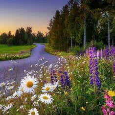 🇹🇷 Cansu🎧👟