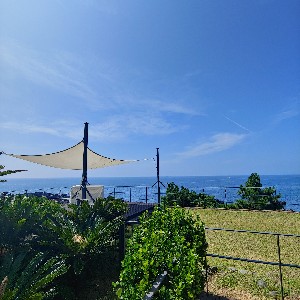 후니~~🍀🍀🍀