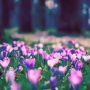 🤗💗Мария💗😘