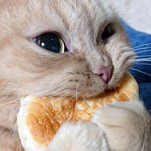 Григорий Бережной ИВТ-324