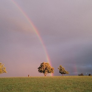 𝓝𝓪𝓷𝓬𝔂1973 profile