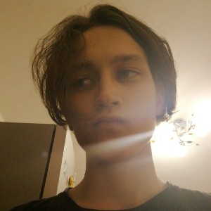 Гаймаранов Тимур(ПРО-328,ИРТ)