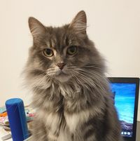 Jane
