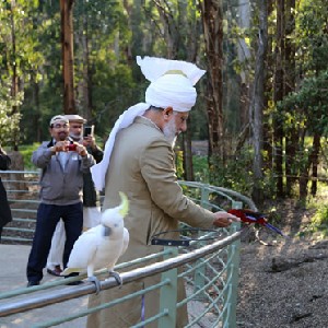 Abdul Shafi Owusu-Konadu ATFAL