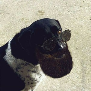 Sarah O\'Connor 2nd year