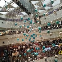 Manraj, Year 11, Red