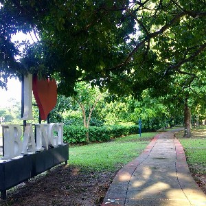 Jaf Anson Walker 🏞🚶‍♂🌳🐈