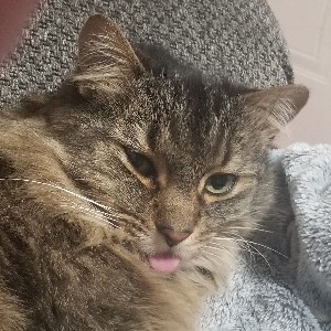 Douglas James Seymour