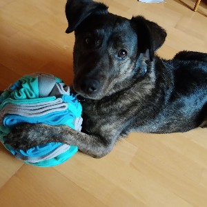 Ola z Czarikiem profile