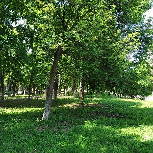 Маи₽🧘☘️👣🇷🇺