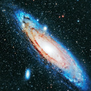 Noriyasu（憲康）