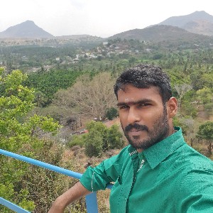 Karthikeyan V