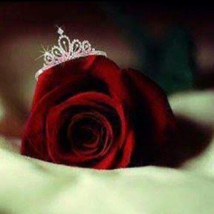 syeda.sadiya400@gmail.com