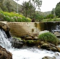 عزيز الذبياني