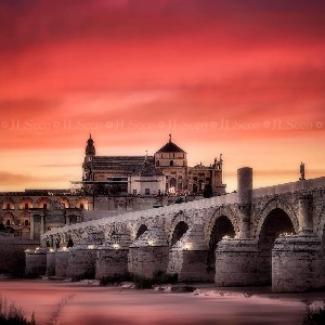 sportrafael65 profile