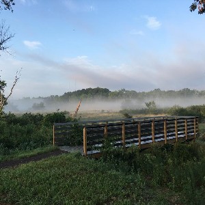 Ramesh Darisi profile