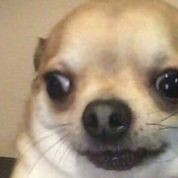 Bünyamin😶😌🙃